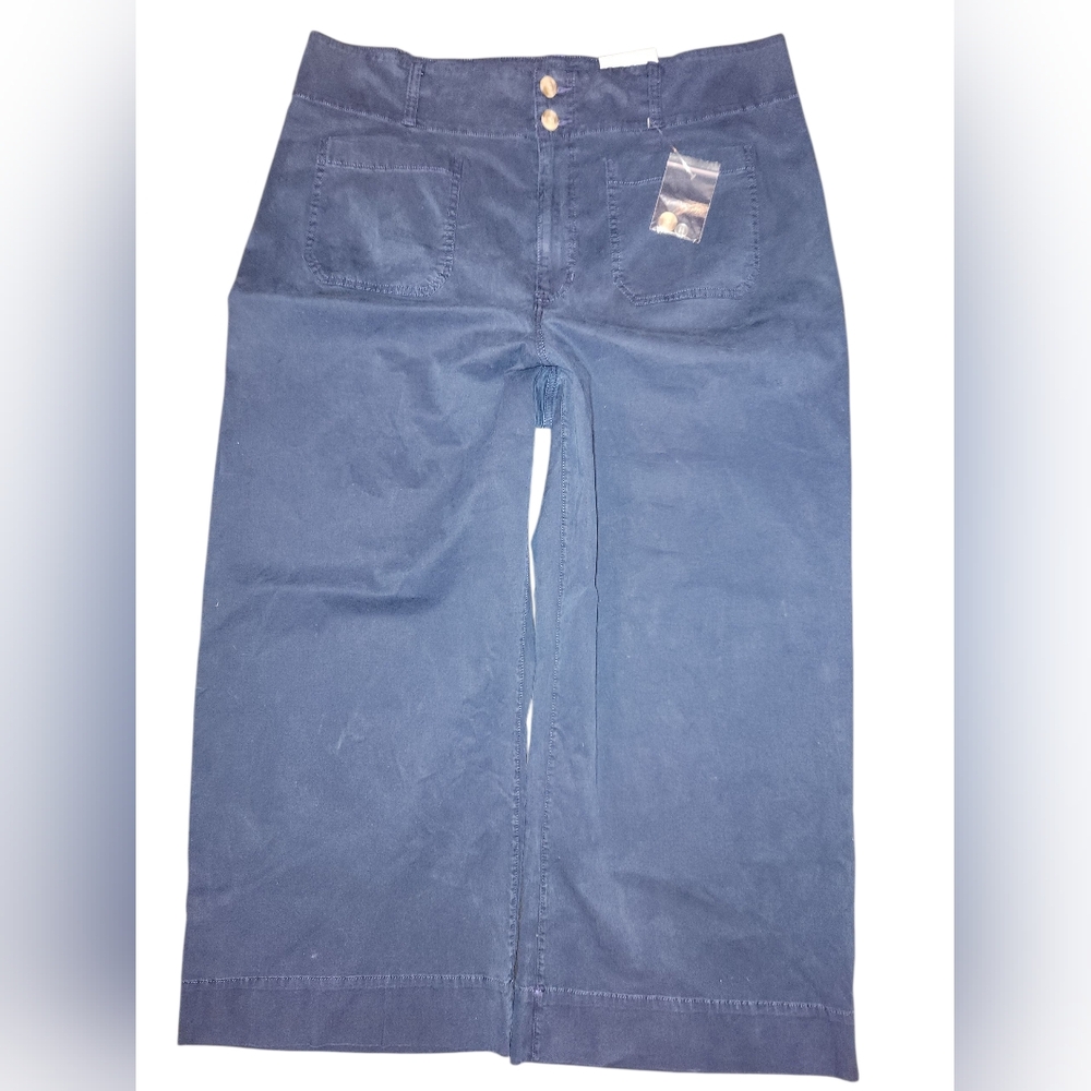 Lauren Conrad Cropped Size 18W Navy Wide-Leg Pants Super High Rise
